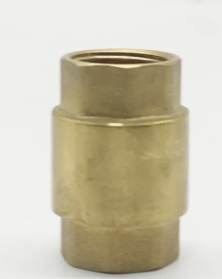 Brass Valves 1/2 to 4 Inch Female Thread Manufacture Vertical Forged Brass Spring Check Valve for Water